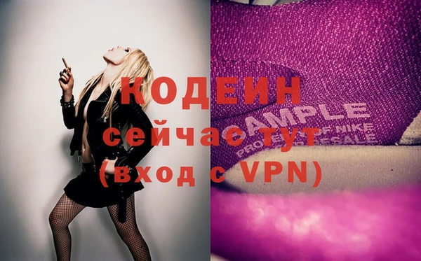 хмурый Михайловск