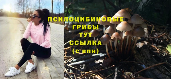 хмурый Михайловск