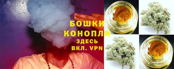 гидропоника Медногорск
