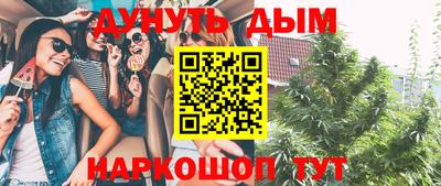 стафф Волгодонск