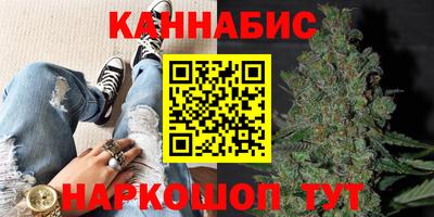 стафф Волгодонск