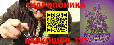 mdpv Заводоуковск