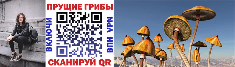 Псилоцибиновые грибы ЛСД купить Качканар