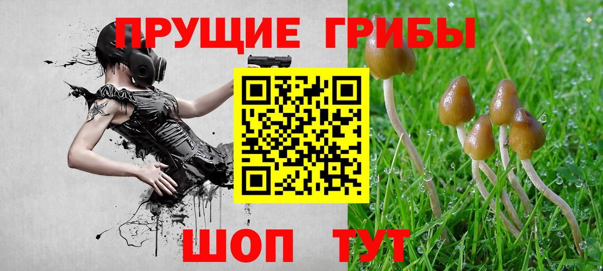 Псилоцибиновые грибы GOLDEN TEACHER  Вход с VPN  как найти закладки  Качканар 