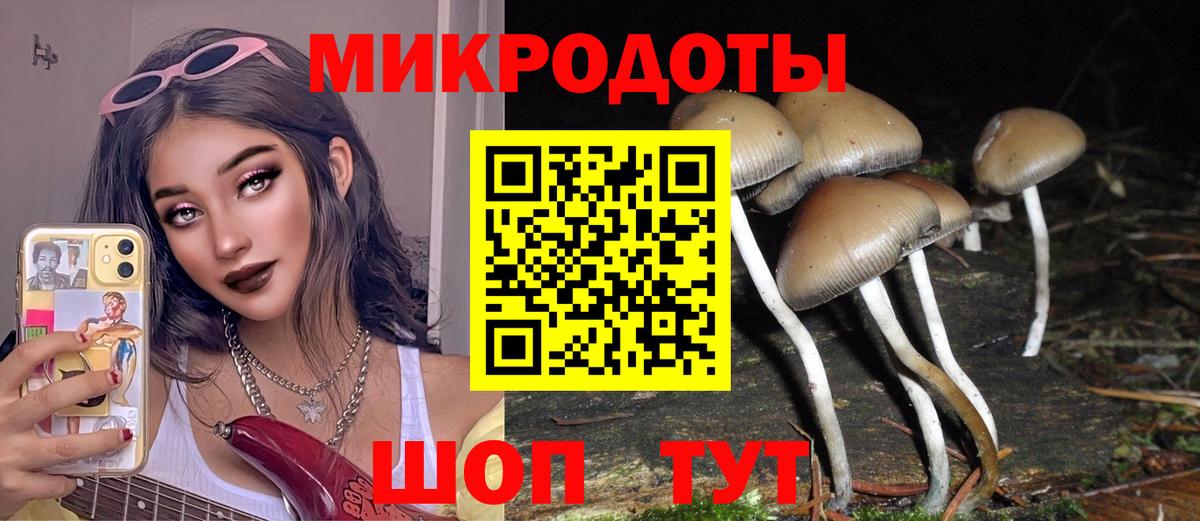 Галлюциногенные грибы MAGIC MUSHROOMS Качканар
